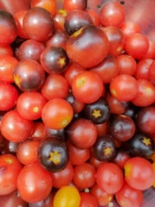 Homemade Cherry Tomato Sauce