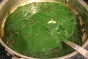 Palak Paneer