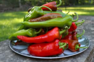 Roasted Peppers