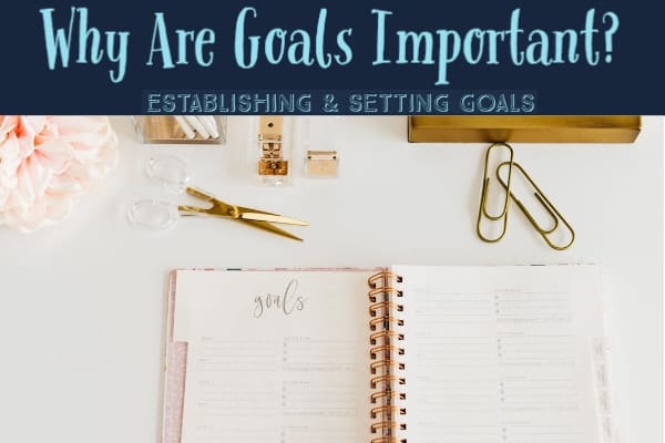 Why Are Goals Important?  Establishing and setting goals