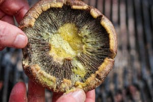 Jalapeno popper Grilled Portobello