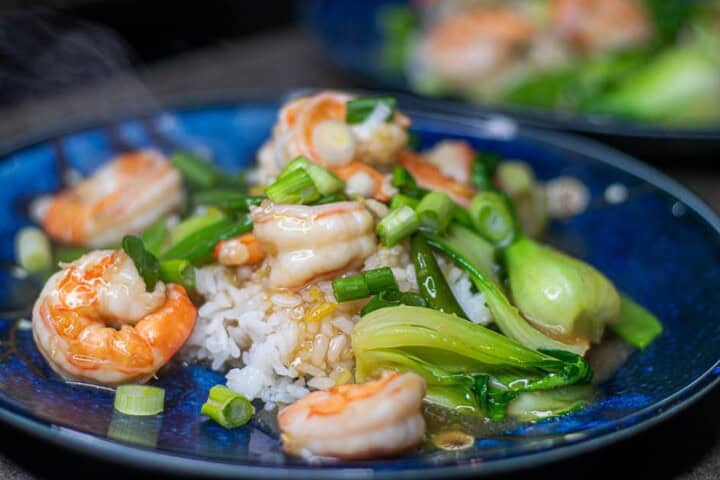 Simple Garlic Ginger Shrimp Stir Fry with Baby Bok Choy - Belly Laugh ...