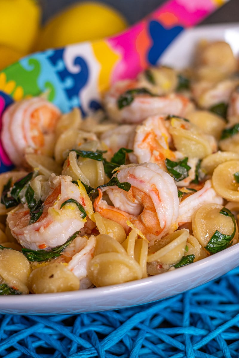 lemon pasta
lemon shrimp pasta recipe
lemon garlic shrimp pasta
lemon pasta recipe
lemon garlic pasta